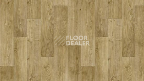 Линолеум Tarkett Discovery RIGARD 2 фото 1 | FLOORDEALER
